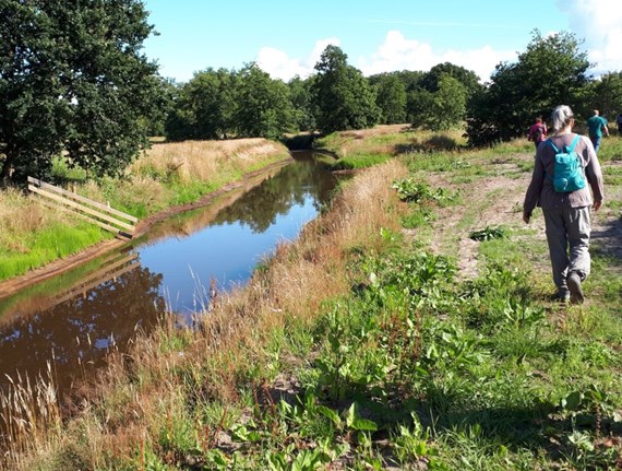 Wandelen Westerwolde 2